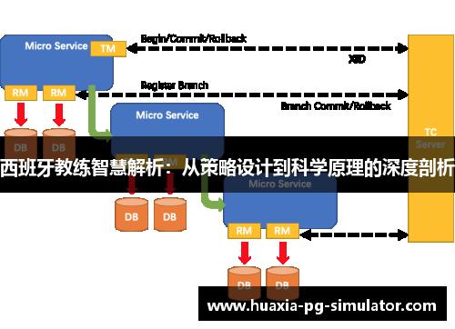 西班牙教练智慧解析：从策略设计到科学原理的深度剖析