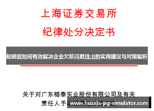 赵鹏就如何有效解决企业欠薪问题提出的实用建议与对策解析