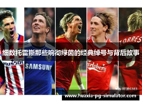 细数托雷斯那些响彻绿茵的经典绰号与背后故事